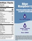 Ultima Replenisher Blue Raspberry Hydration Sticks - 20 Serving Stick Packs